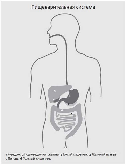 Иллюстрация к книге — Здоровье начинается с правильной еды [i_003.jpg]