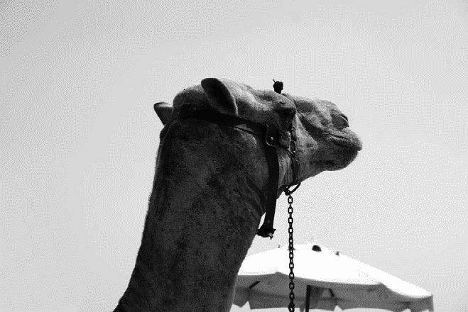 Иллюстрация к книге — Работа, деньги и любовь. Путеводитель по самореализации [_009.jpg]