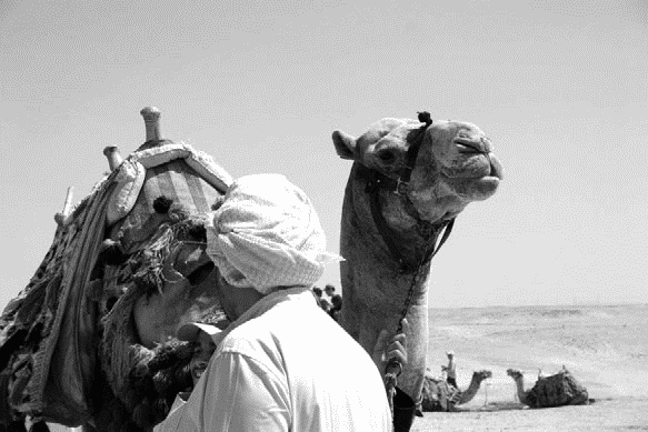 Иллюстрация к книге — Работа, деньги и любовь. Путеводитель по самореализации [_135.jpg]