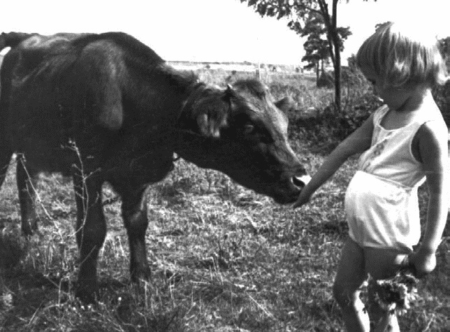 Иллюстрация к книге — Работа, деньги и любовь. Путеводитель по самореализации [_136.jpg]