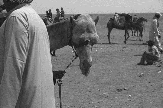 Иллюстрация к книге — Работа, деньги и любовь. Путеводитель по самореализации [_147.jpg]