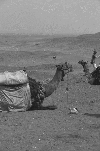 Иллюстрация к книге — Работа, деньги и любовь. Путеводитель по самореализации [_155.jpg]