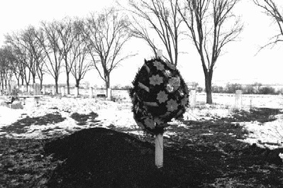 Иллюстрация к книге — Работа, деньги и любовь. Путеводитель по самореализации [_179.jpg]