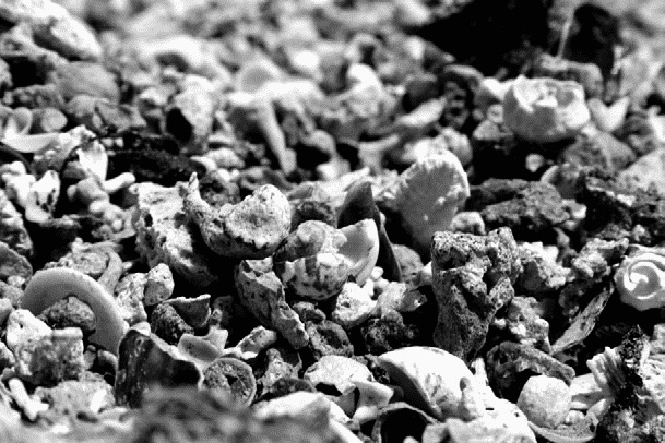 Иллюстрация к книге — Работа, деньги и любовь. Путеводитель по самореализации [_317.jpg]