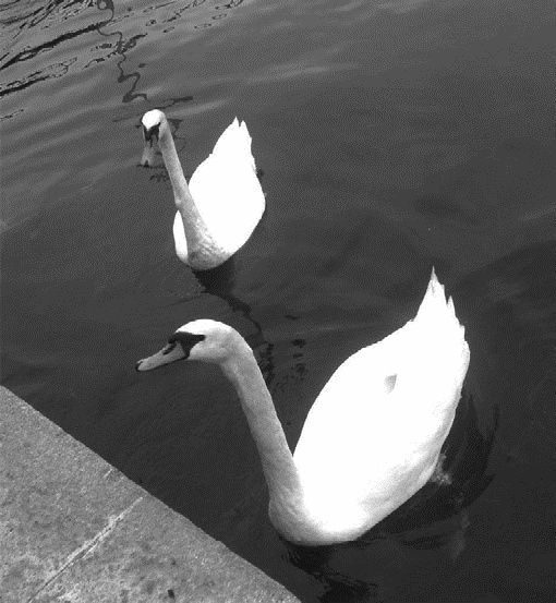 Иллюстрация к книге — Работа, деньги и любовь. Путеводитель по самореализации [_340.jpg]