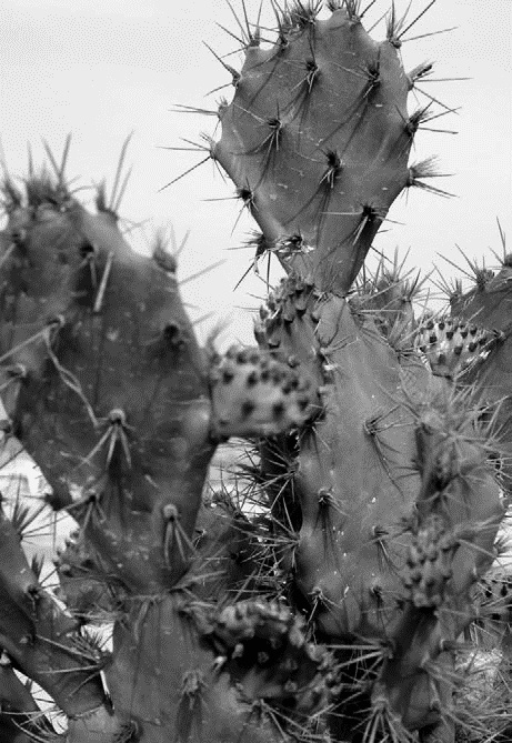 Иллюстрация к книге — Работа, деньги и любовь. Путеводитель по самореализации [_367.jpg]