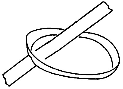 Иллюстрация к книге — Двор чудес [i_007.jpg]