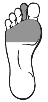 Иллюстрация к книге — Точки болезни и здоровья на ваших ступнях [Autogen_eBook_id17.jpg]