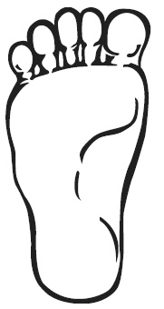 Иллюстрация к книге — Точки болезни и здоровья на ваших ступнях [Autogen_eBook_id4.jpg]