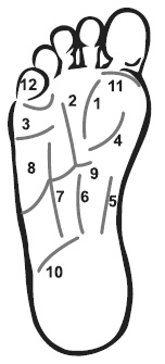 Иллюстрация к книге — Точки болезни и здоровья на ваших ступнях [Autogen_eBook_id5.jpg]