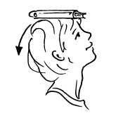 Иллюстрация к книге — Ложка йода для щитовидной железы [Autogen_eBook_id30.jpg]