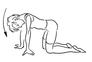 Иллюстрация к книге — Ложка йода для щитовидной железы [Autogen_eBook_id43.jpg]