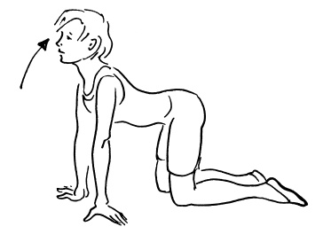 Иллюстрация к книге — Ложка йода для щитовидной железы [Autogen_eBook_id44.jpg]