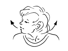 Иллюстрация к книге — Ложка йода для щитовидной железы [Autogen_eBook_id55.jpg]