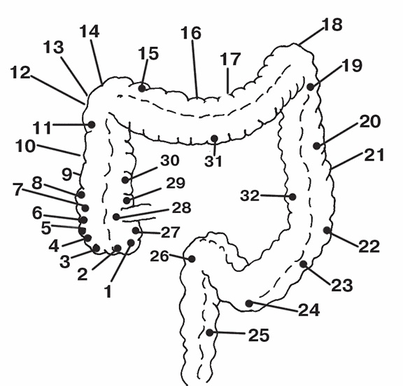 Иллюстрация к книге — Система здоровья Нормана Уокера [i_002.jpg]