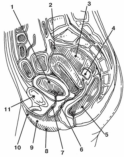 Иллюстрация к книге — Система здоровья Нормана Уокера [i_006.jpg]