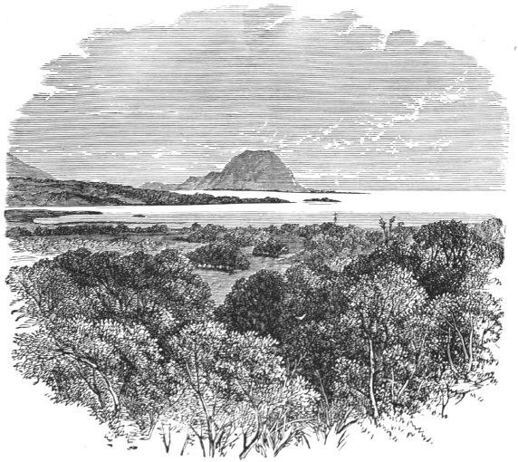 Иллюстрация к книге — Великие тайны океанов. Атлантический океан. Тихий океан. Индийский океан (сборник) [i_005.jpg]