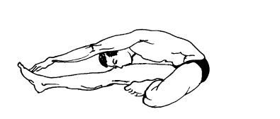 Иллюстрация к книге — Живите долго! Рецепты Аюрведы для здоровья и долголетия [i_027.jpg]