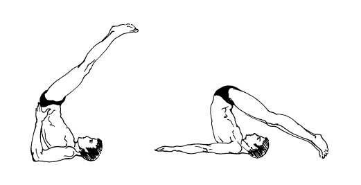 Иллюстрация к книге — Живите долго! Рецепты Аюрведы для здоровья и долголетия [i_029.jpg]