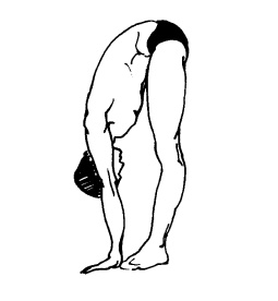 Иллюстрация к книге — Живите долго! Рецепты Аюрведы для здоровья и долголетия [i_033.jpg]