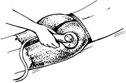 Иллюстрация к книге — Уход за телом. Краткая энциклопедия [i_075.jpg]