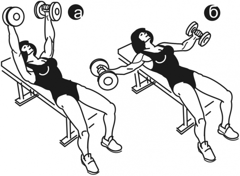 Иллюстрация к книге — Идеальный бюст. 15 минут в день для красоты и здоровья женской груди [i_002.jpg]