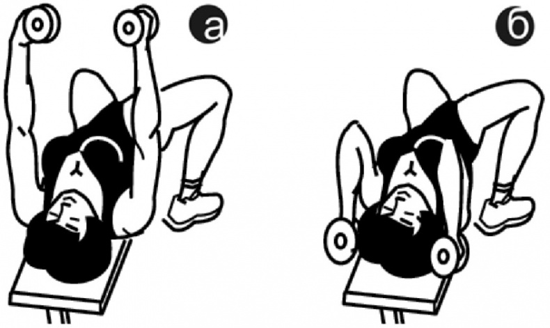 Иллюстрация к книге — Идеальный бюст. 15 минут в день для красоты и здоровья женской груди [i_003.jpg]