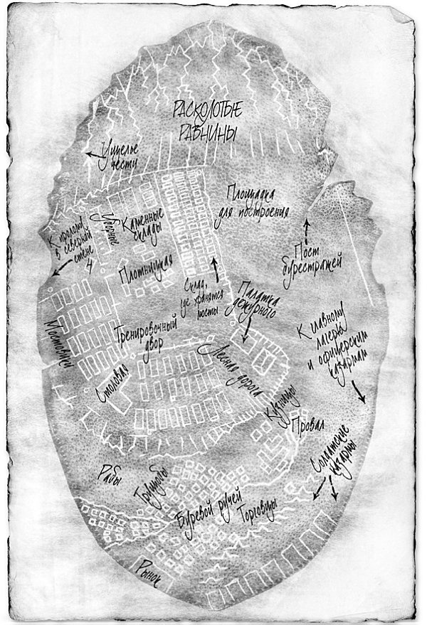 Иллюстрация к книге — Архив Буресвета. Книга 1. Путь королей [_15.jpg]