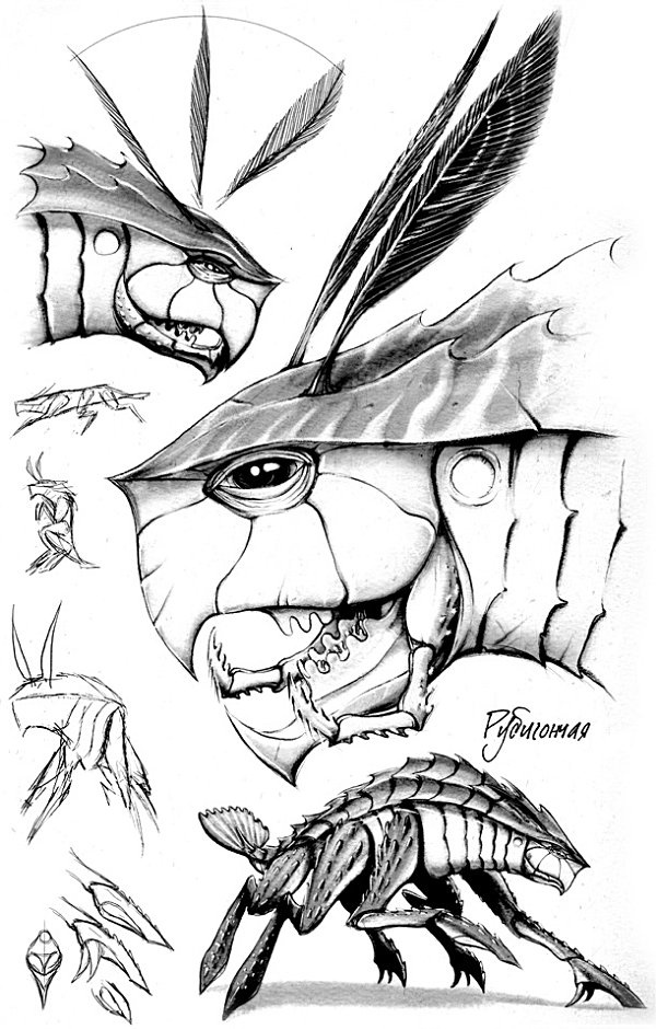 Иллюстрация к книге — Архив Буресвета. Книга 1. Путь королей [_69.jpg]