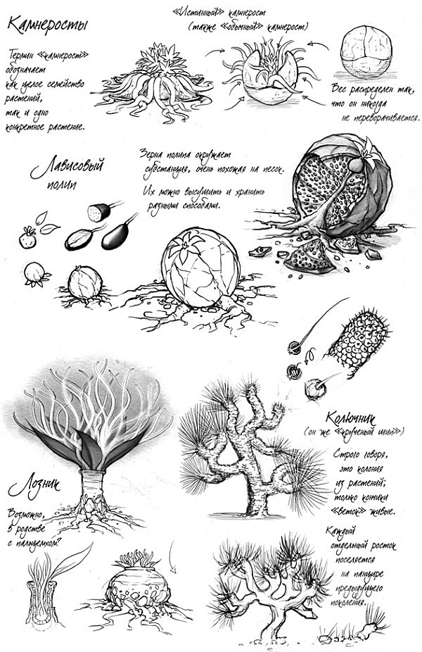 Иллюстрация к книге — Архив Буресвета. Книга 1. Путь королей [_79.jpg]