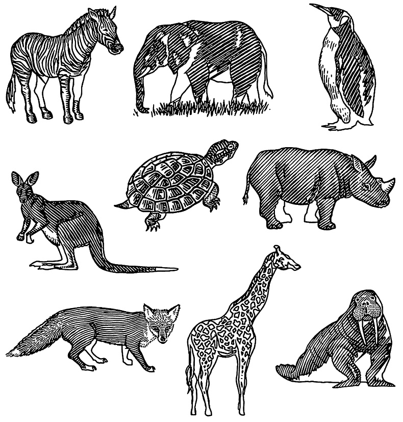 Иллюстрация к книге — Супертренажер памяти. Книга-тренажер для вашего мозга [_129.jpg]