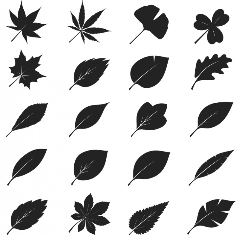 Иллюстрация к книге — Супертренажер памяти. Книга-тренажер для вашего мозга [_136.jpg]