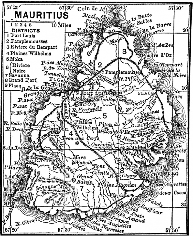 Иллюстрация к книге — Супертренажер памяти. Книга-тренажер для вашего мозга [_166.jpg]