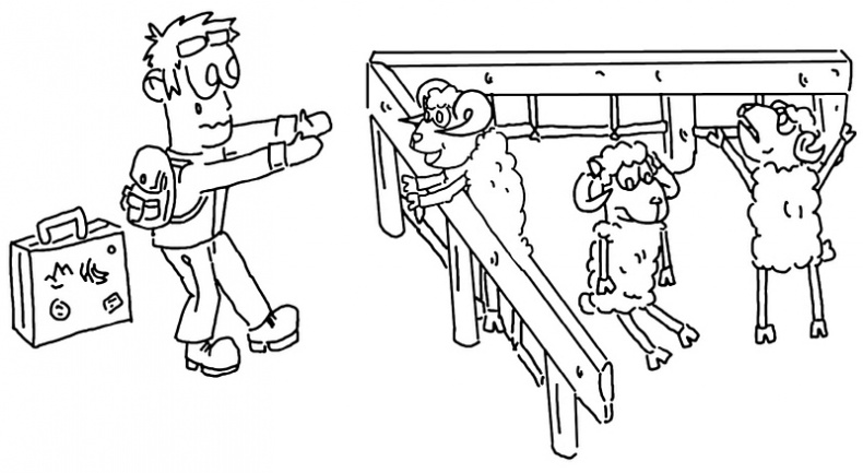 Иллюстрация к книге — Думалогия. Обучение через приключения в Египте [i_009.jpg]