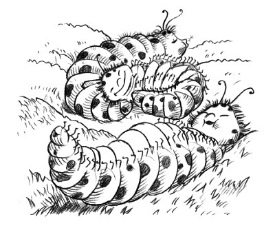 Иллюстрация к книге — Долина единорогов [_087.jpg]