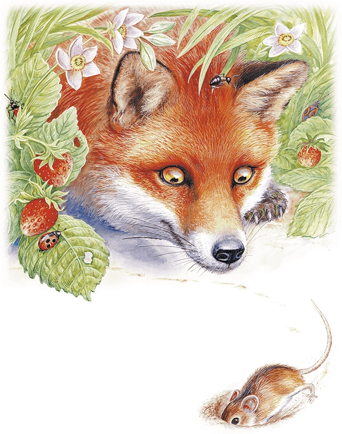 Иллюстрация к книге — Приключения Муравьишки [i_007.jpg]