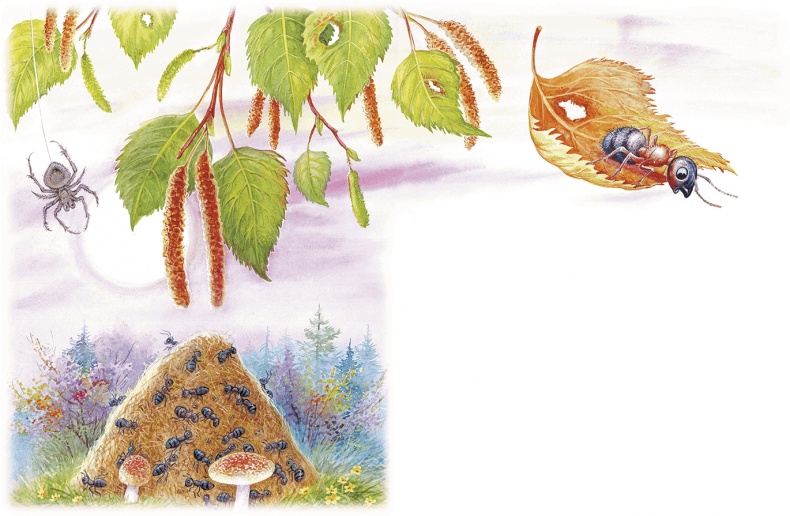 Иллюстрация к книге — Приключения Муравьишки [i_019.jpg]