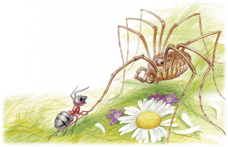 Иллюстрация к книге — Приключения Муравьишки [i_021.jpg]