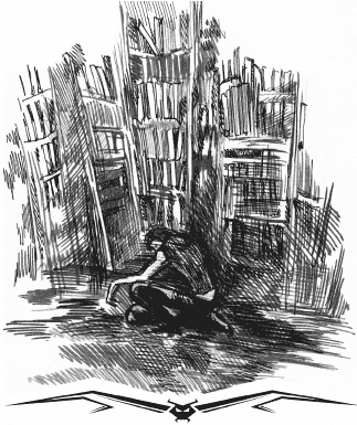 Иллюстрация к книге — Влада. Бал Темнейшего [i_012.jpg]