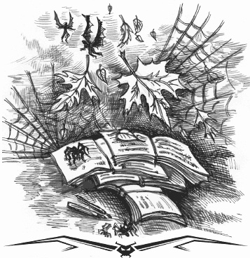 Иллюстрация к книге — Влада. Бал Темнейшего [i_013.jpg]