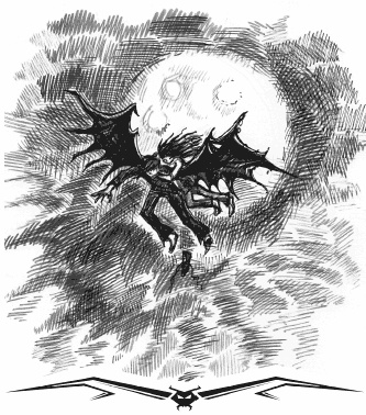 Иллюстрация к книге — Влада. Бал Темнейшего [i_016.jpg]