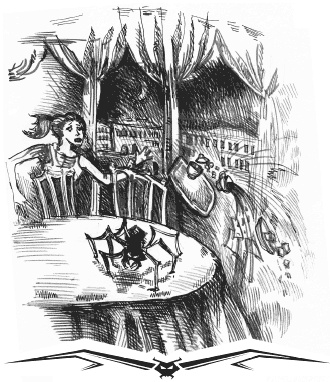 Иллюстрация к книге — Влада. Бал Темнейшего [i_020.jpg]