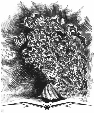 Иллюстрация к книге — Влада. Бал Темнейшего [i_025.jpg]