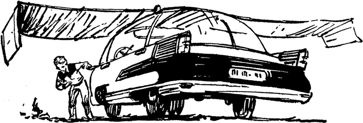 Иллюстрация к книге — Всё о невероятных приключениях Васи Голубева и Юрки Бойцова (сборник) [i_008.jpg]