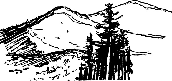 Иллюстрация к книге — Всё о невероятных приключениях Васи Голубева и Юрки Бойцова (сборник) [i_020.jpg]