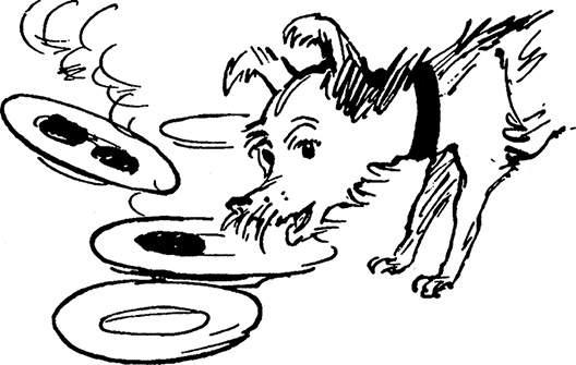 Иллюстрация к книге — Всё о невероятных приключениях Васи Голубева и Юрки Бойцова (сборник) [i_043.jpg]