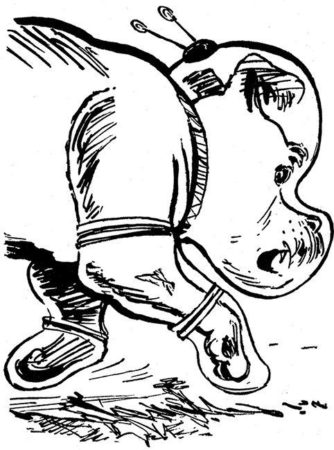 Иллюстрация к книге — Всё о невероятных приключениях Васи Голубева и Юрки Бойцова (сборник) [i_069.jpg]