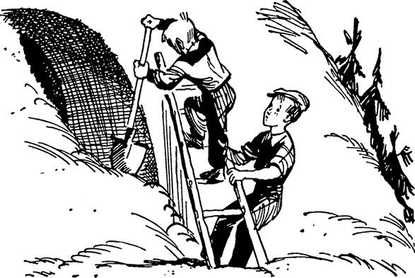 Иллюстрация к книге — Всё о невероятных приключениях Васи Голубева и Юрки Бойцова (сборник) [i_076.jpg]