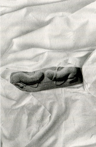 Иллюстрация к книге — Эротоэнциклопедия [i_006.jpg]