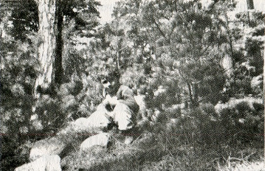 Иллюстрация к книге — Эротоэнциклопедия [i_009.jpg]